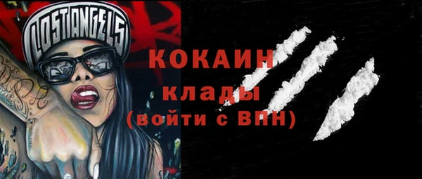 стаф Ростов