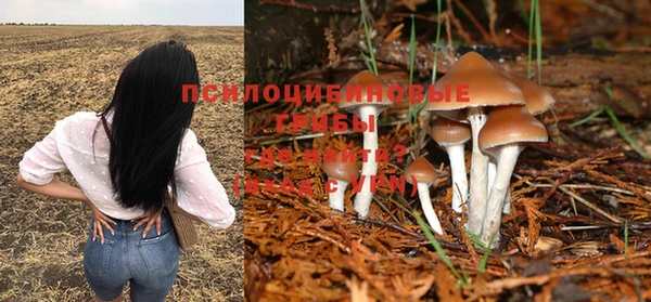 тгк Алексеевка